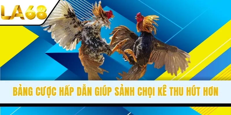 Bảng cược hấp dẫn giúp sảnh chọi kê thu hút hơn