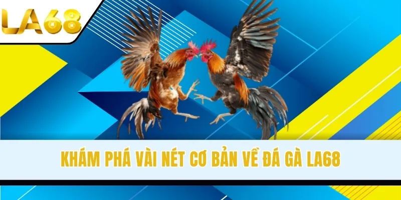 Khám phá vài nét cơ bản về đá gà LA68